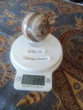 Ocean Jasper