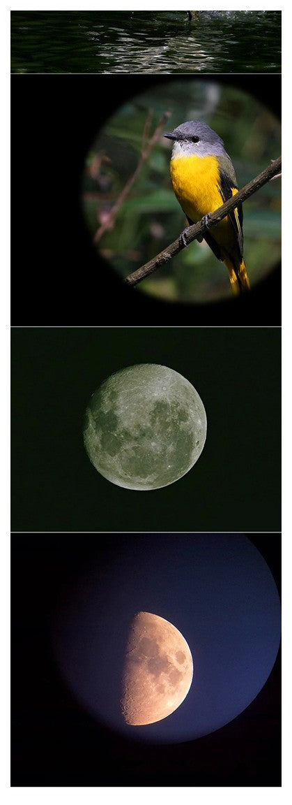 Professional Astronomical Telescope, brand new.