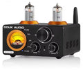 HiFi Bluetooth 5.0 Vacuum Tube Amplifier & Indoor/Outdoor Speakers