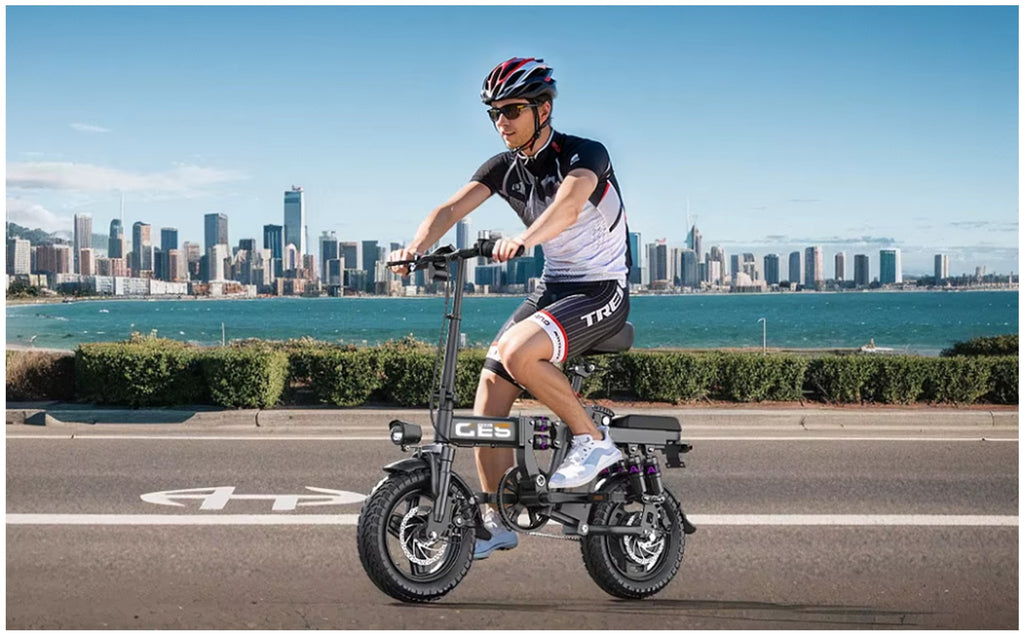 Toofly GE5 Adult Electric Bicycle